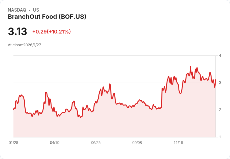 BranchOut Food創下歷史新高！淨收入達1400萬美元，年增113％
