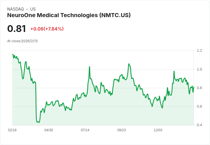 NeuroOne 目標2026年營收至少1050萬美元，推進腦部與疼痛治療平臺