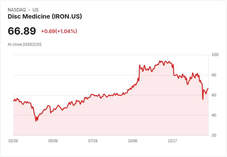 Disc Medicine 公佈財報：每股虧損達 -$6.01，現金狀況亮眼卻面臨挑戰！
