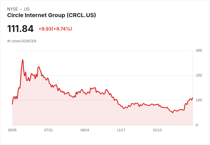 Circle Internet Group (CRCL) 四季度業績亮眼，成為二月最佳表現股票之一！