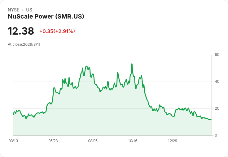 Nuscale Power Corp 股價小幅上漲，選擇權情緒混合引發市場關注！