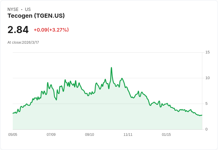 Tecogen 第四季財報出爐：每股淨損達 -$0.13，營收下滑12.5％