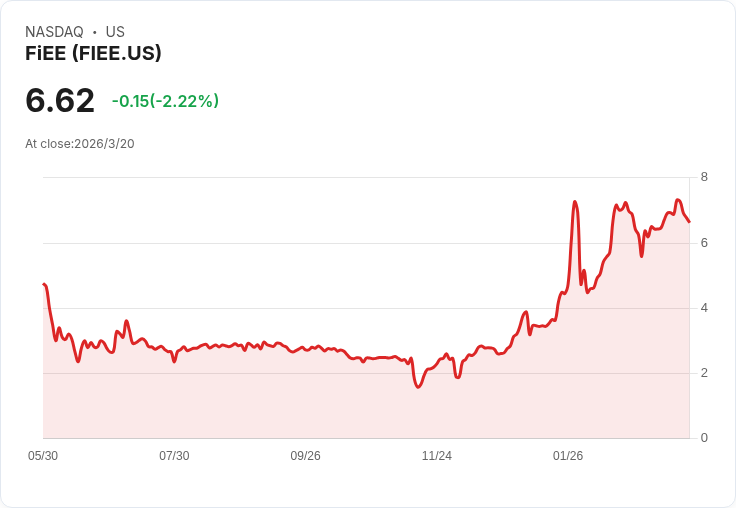 FIEE公佈2025財年業績：每股盈餘達$0.10，營收突破$6.19M！