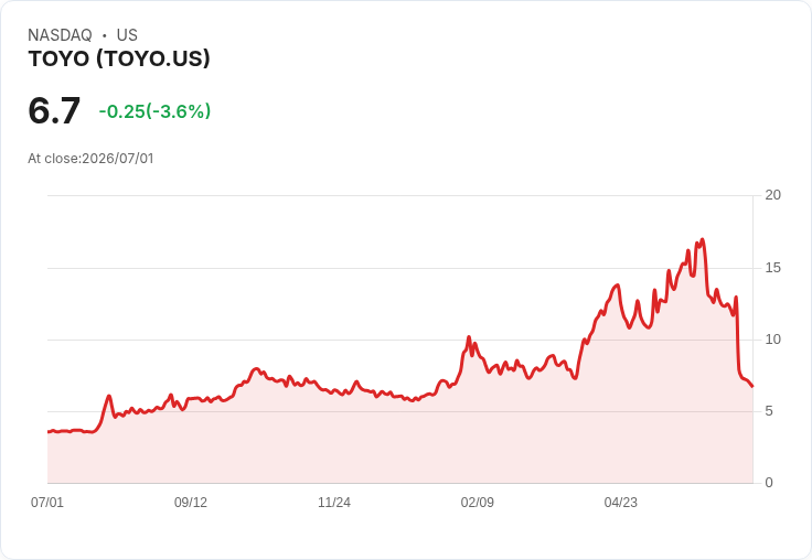 TOYO任命新財務長,帶來30年金融專業經驗!