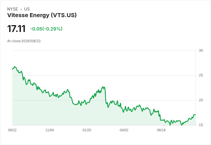 Vitesse Energy CEO強調股息優先與靈活收購策略,未來成長可期!