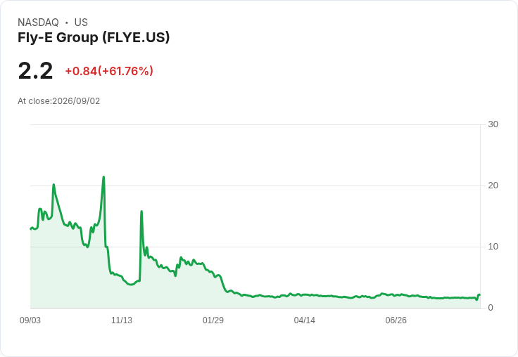 震撼!Fly-E Group Q1 財報出爐:每股虧損高達 -$2.41,營收驟降49%