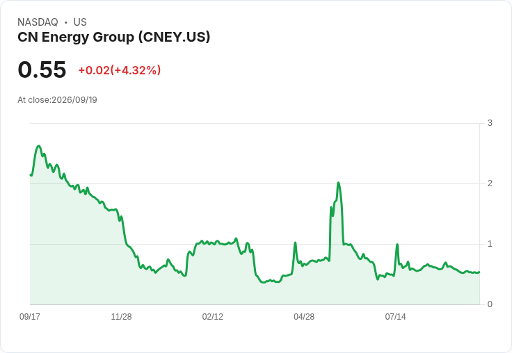 Cn Energy Group 首季財報出爐：每股虧損達 -$7.03，營收增長8.2％！