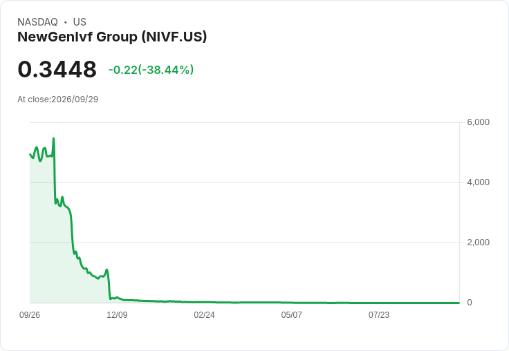 NewGenIvf 公開發行股票，籌資125萬美元助力業務擴充套件！