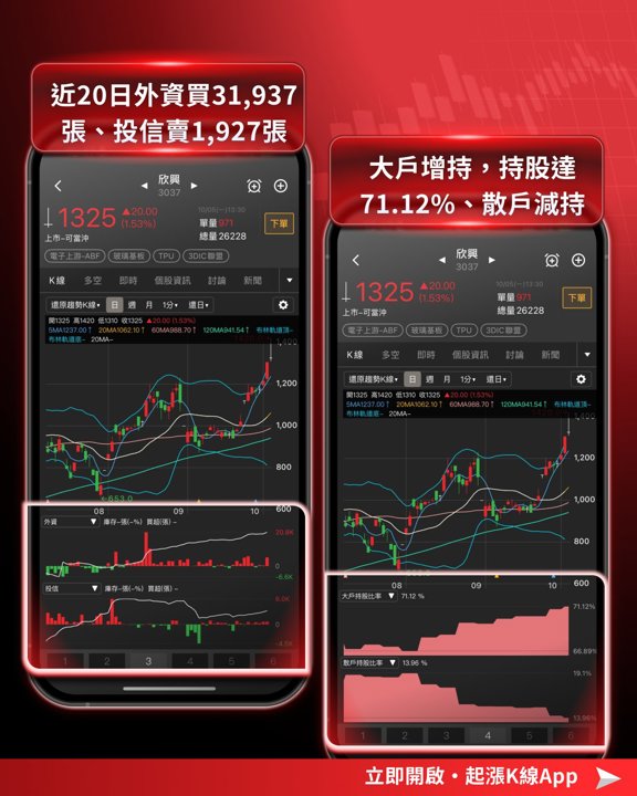 欣興籌碼指標
