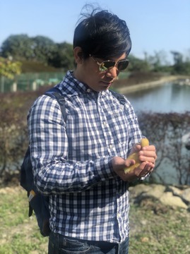 💵岱爺💵