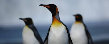 後台 API 測試&灌水測試