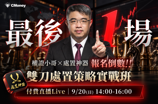 【最後倒數！】雙刀處置戰法：獨家避險高勝率技巧策略教學大公開