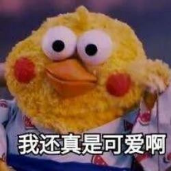 S小姐