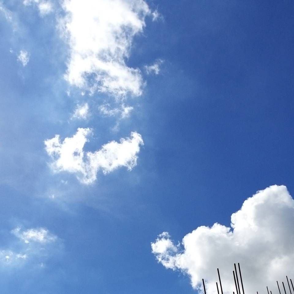 ☆小姐