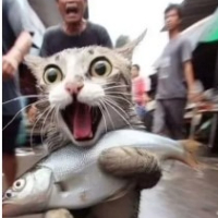 飆小姐
