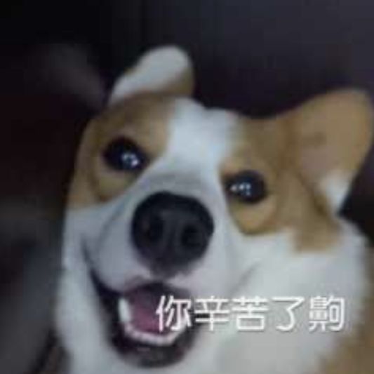 少先生