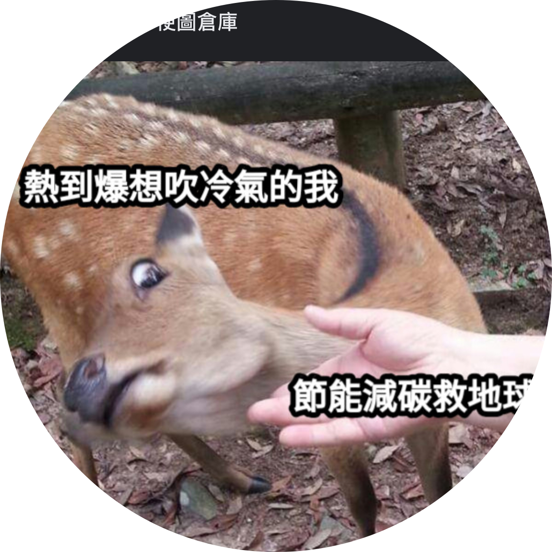 發文者頭像