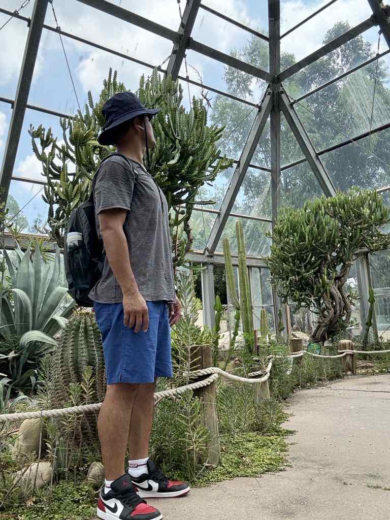 苦小姐