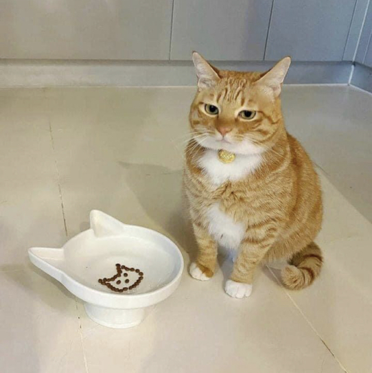 大小姐