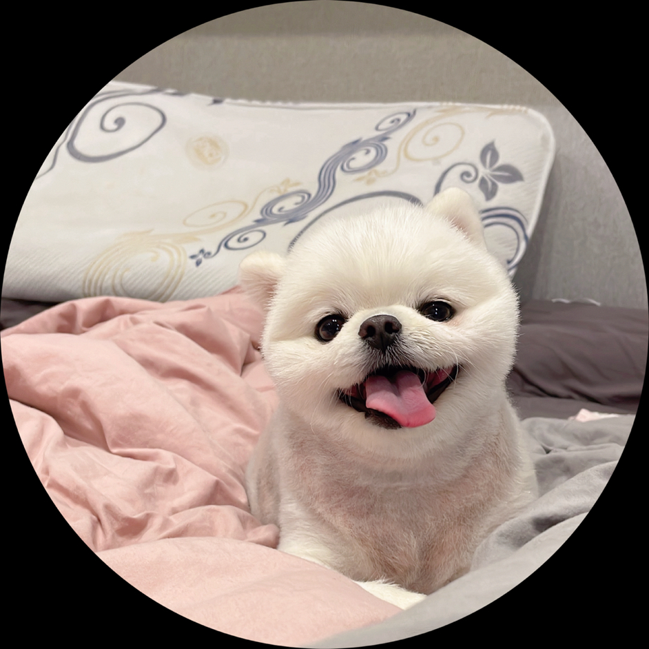 J小姐