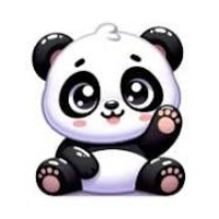 S小姐
