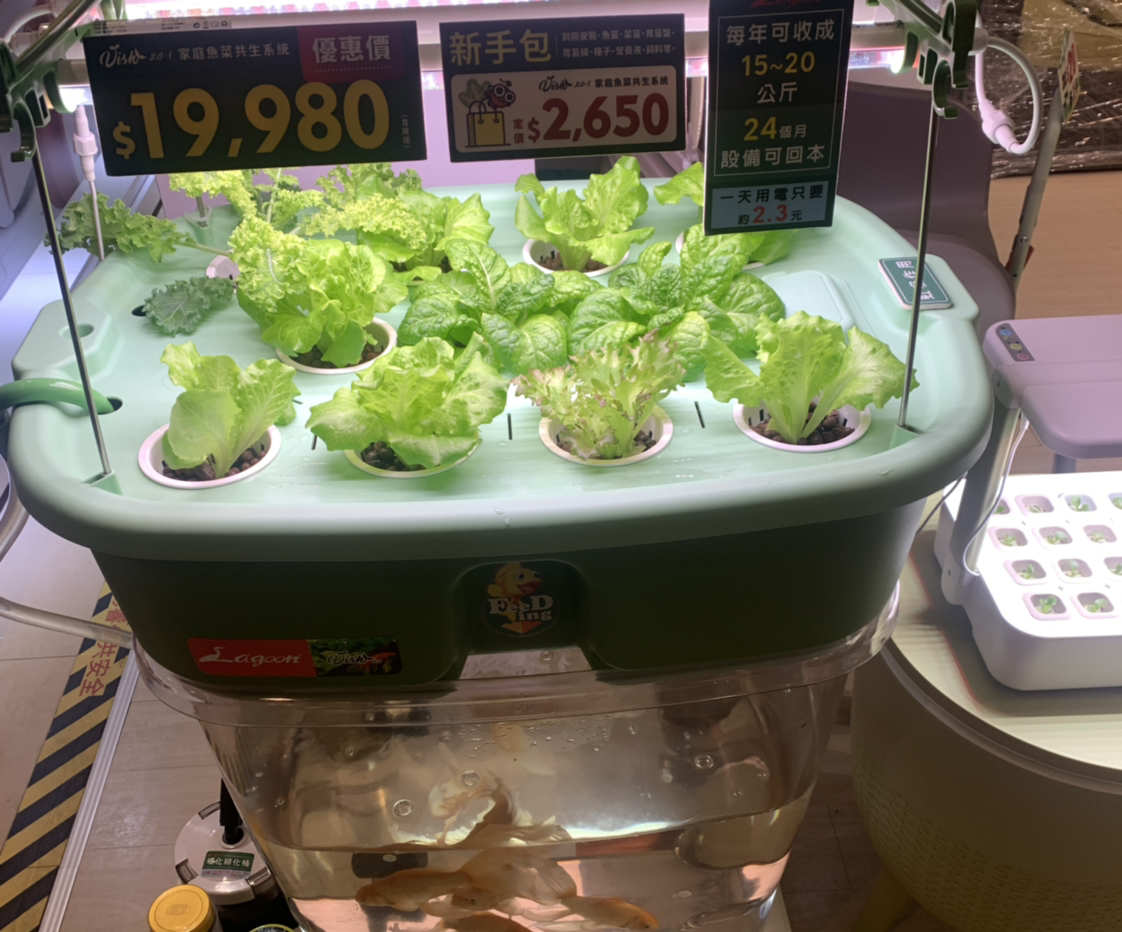I小姐