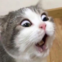 翻天漲