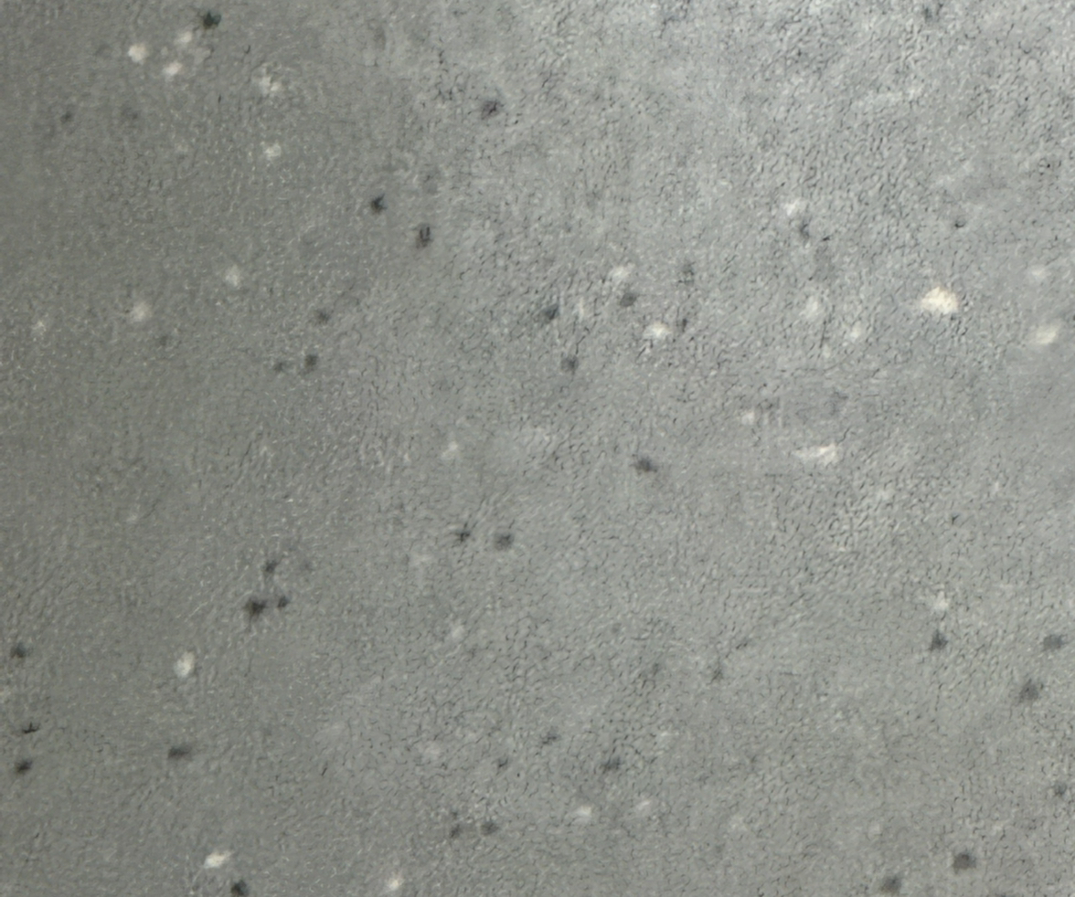 jpp-KY(5284)營收查詢｜月營收統計與YOY年增率圖表｜股市爆料同學會