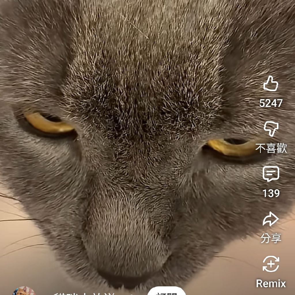 亞航(2630) 今日股價、行情討論｜股市爆料同學會